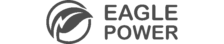 Eagle Power logo design by Koalart Creative – branding agency for small business