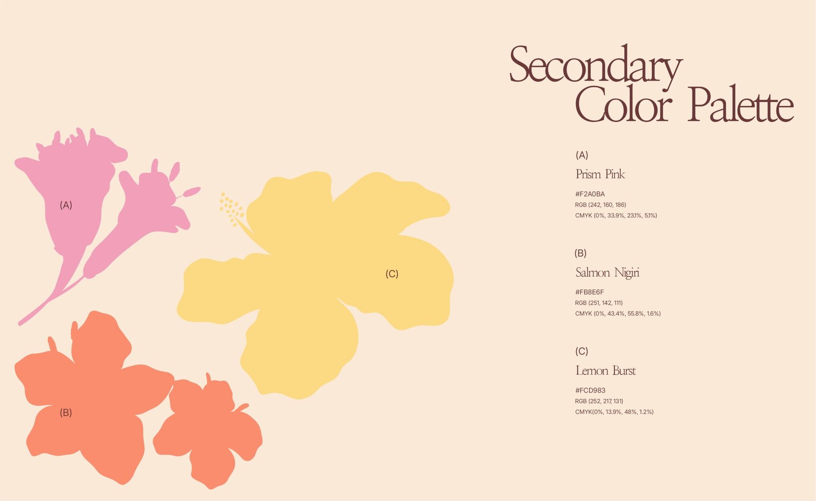 La MexiCoreana retail brand identity with floral logo and packaging design