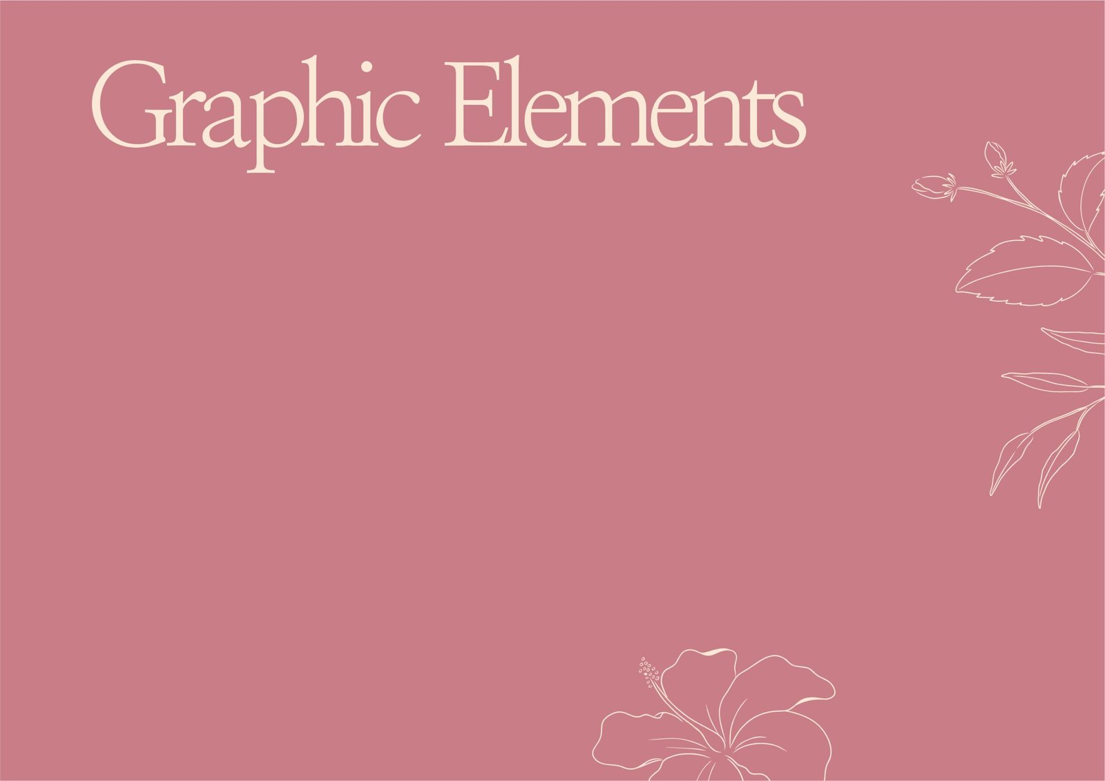La MexiCoreana retail brand identity with floral logo and packaging design