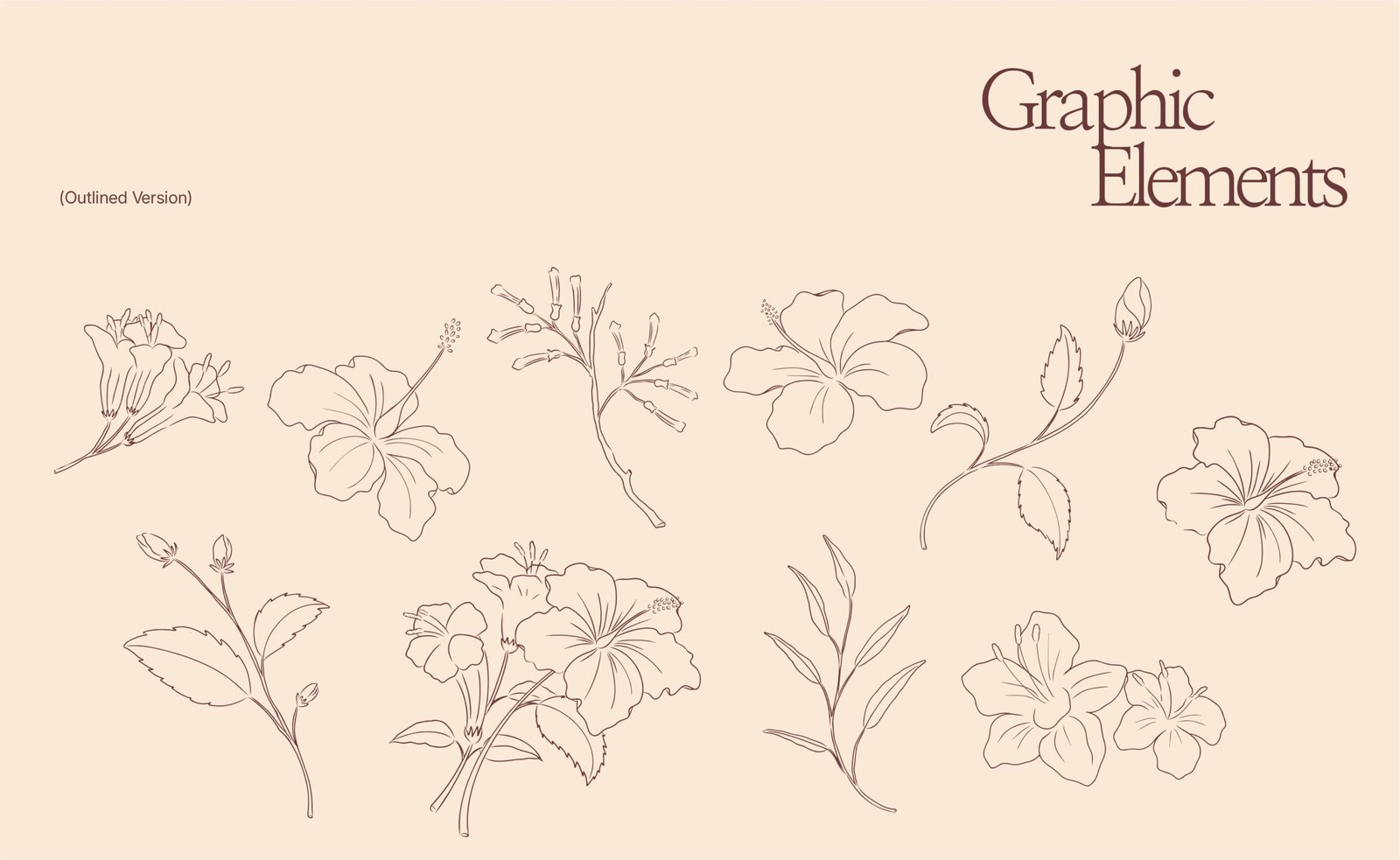 La MexiCoreana retail brand identity with floral logo and packaging design