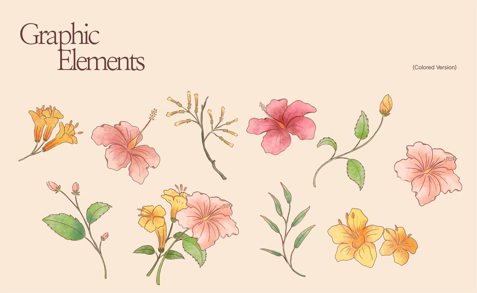 La MexiCoreana retail brand identity with floral logo and packaging design