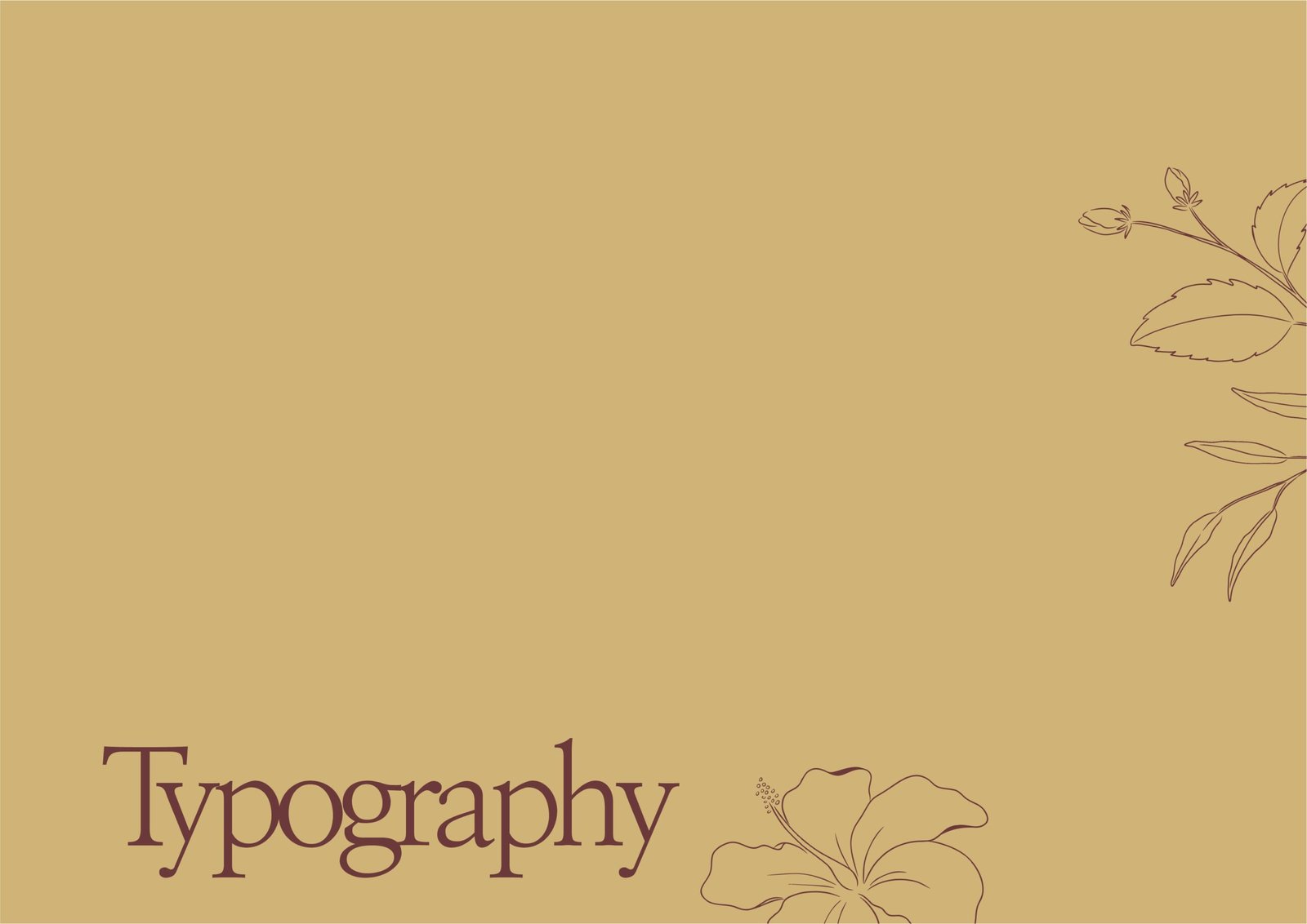 La MexiCoreana retail brand identity with floral logo and packaging design