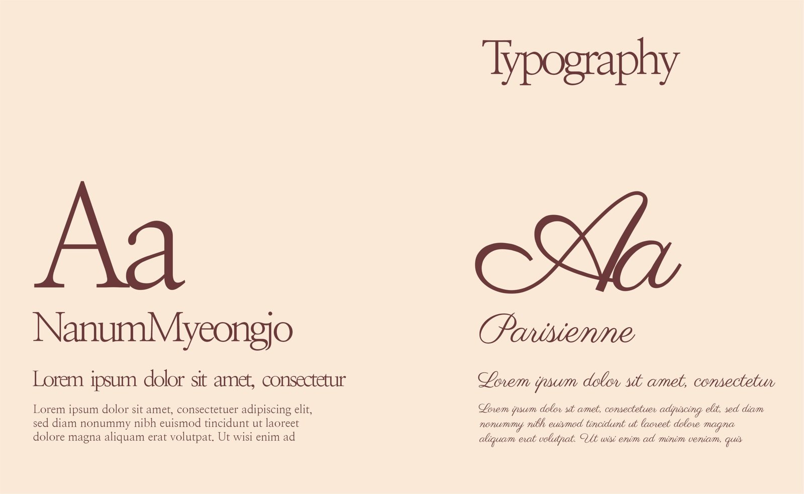 La MexiCoreana retail brand identity with floral logo and packaging design